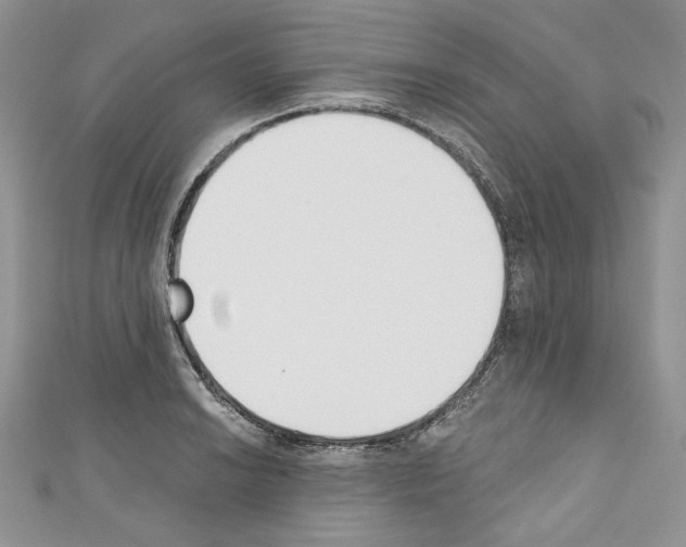 X0000110741038200907271057
