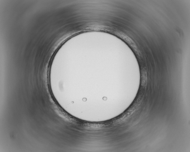 X0000110741039200907271057