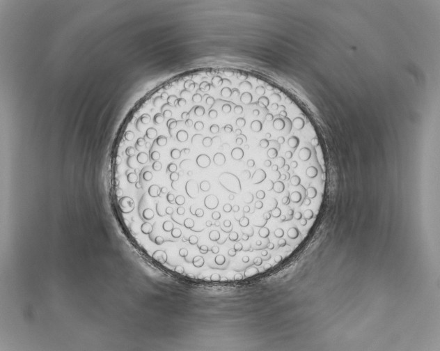 X0000110741040200907271057