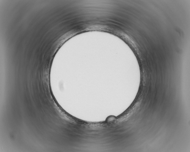 X0000110741041200907271057
