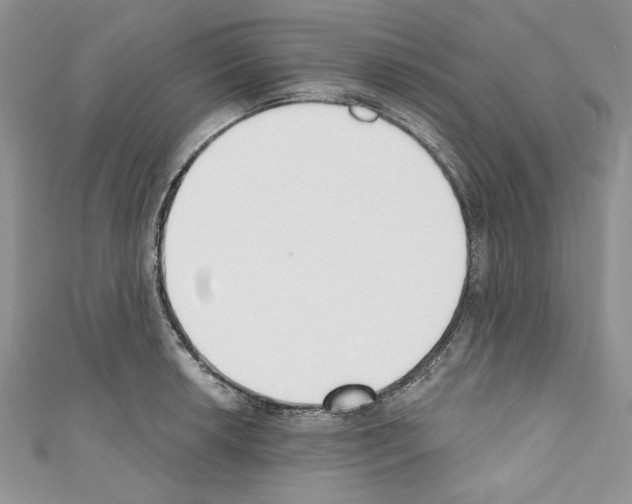 X0000110741042200907271057