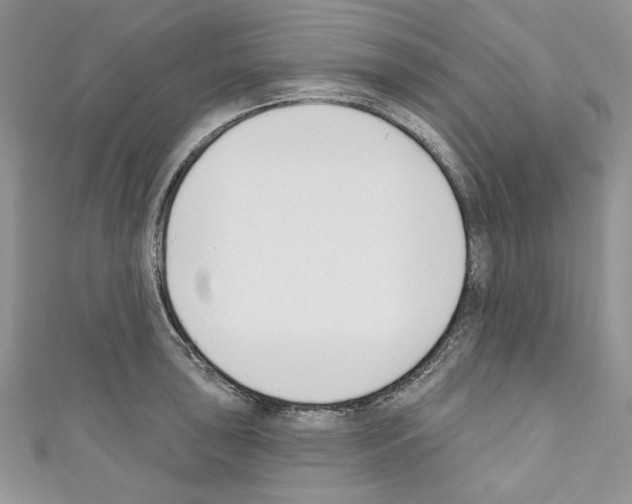 X0000110741043200907271057