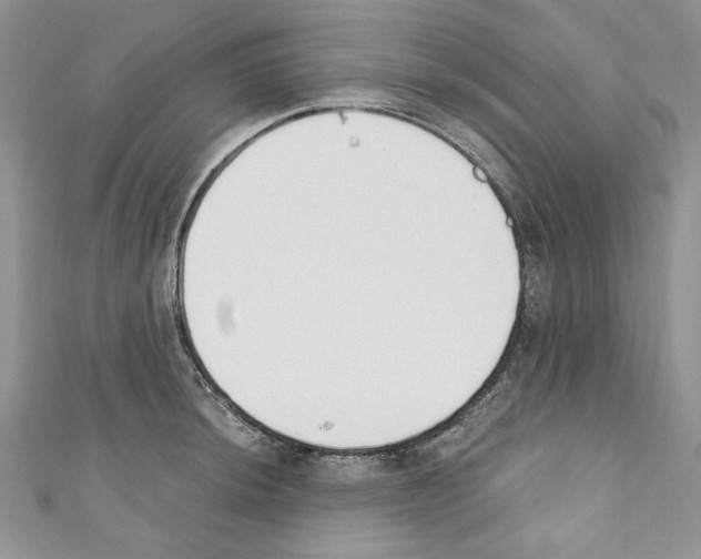 X0000110741044200907271057