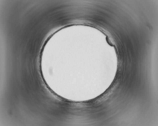 X0000110741045200907271057