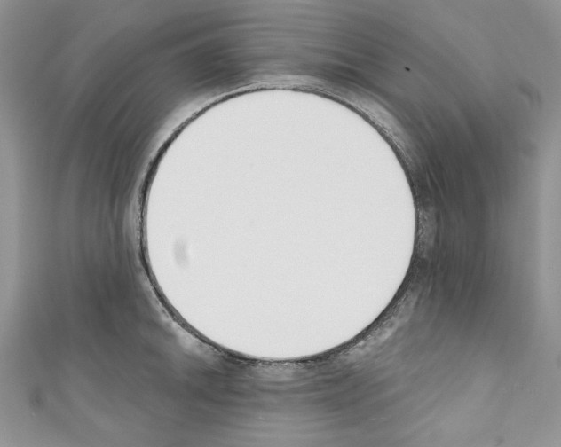 X0000110741046200907271057