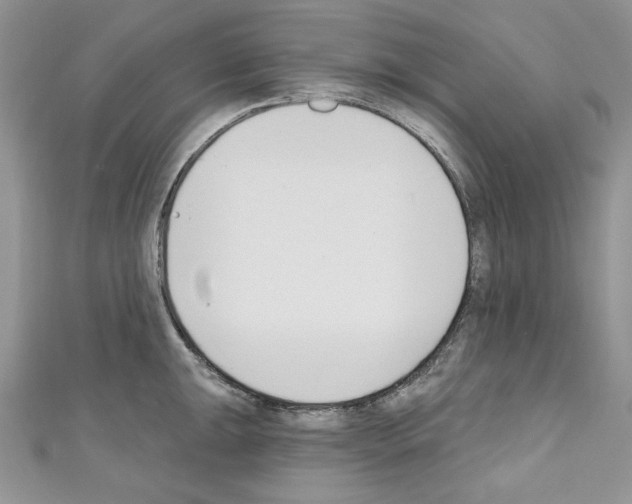 X0000110741047200907271057