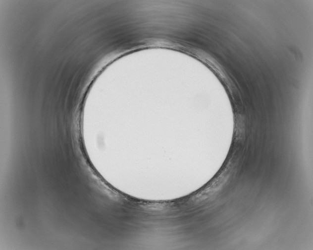 X0000110741048200907271057
