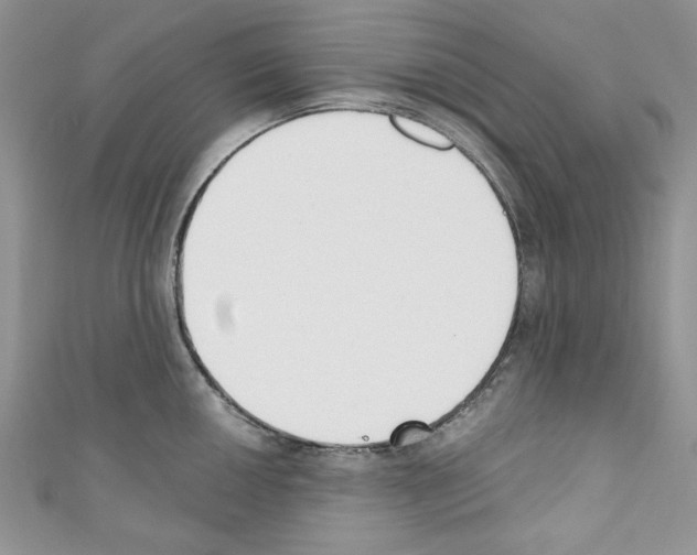 X0000110741050200907271058