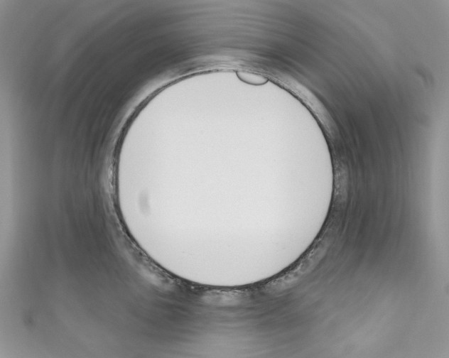 X0000110741051200907271058