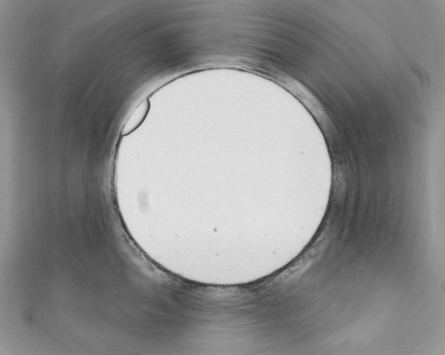 X0000110741052200907271058