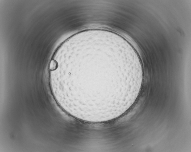 X0000110741053200907271058