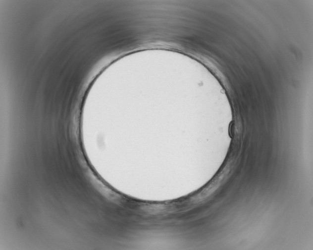 X0000110741054200907271058