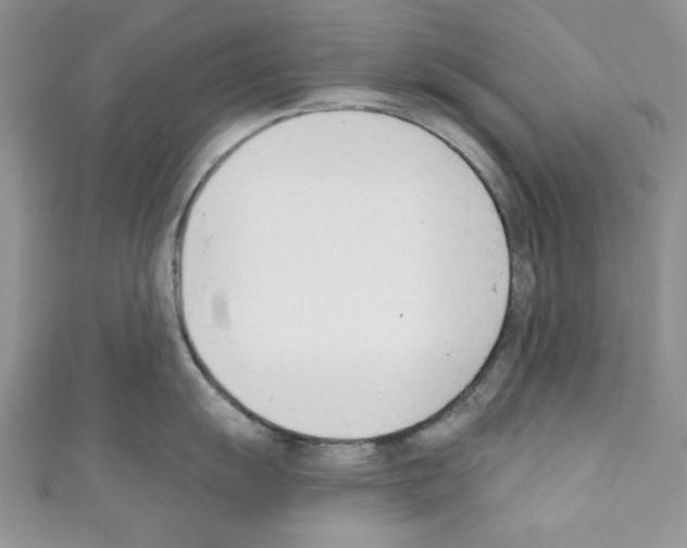 X0000110741055200907271058