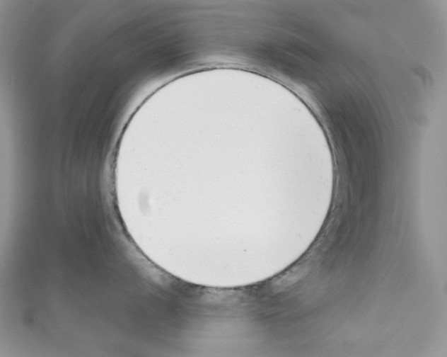 X0000110741056200907271058