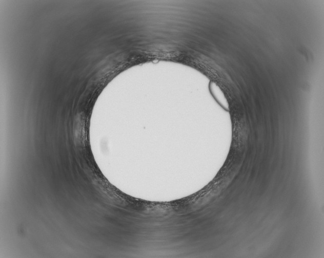 X0000110741058200907271057