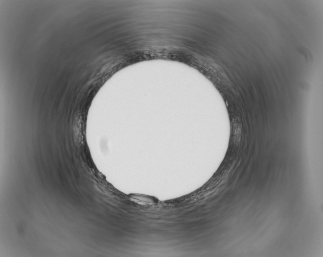 X0000110741060200907271057