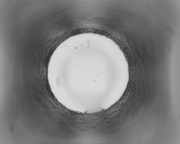 X0000110741061200907271057