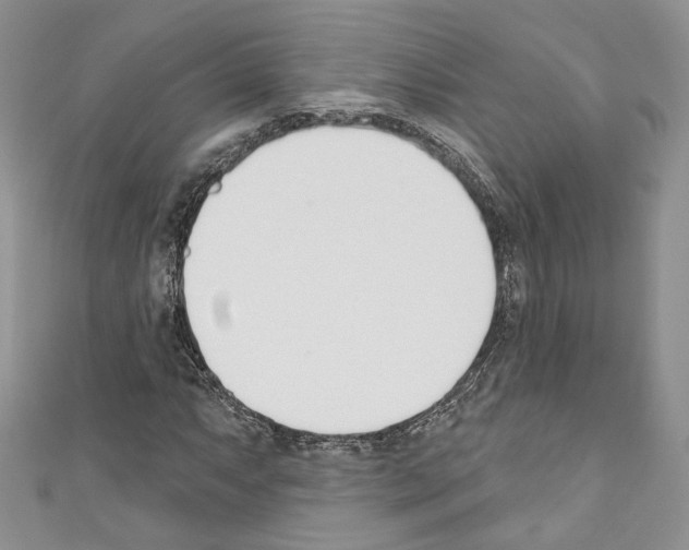 X0000110741063200907271057