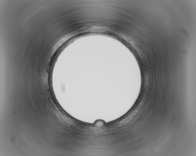 X0000110741066200907271057