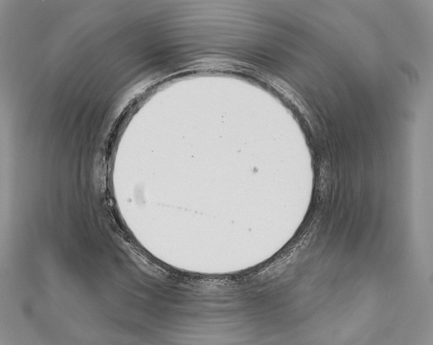 X0000110741067200907271057