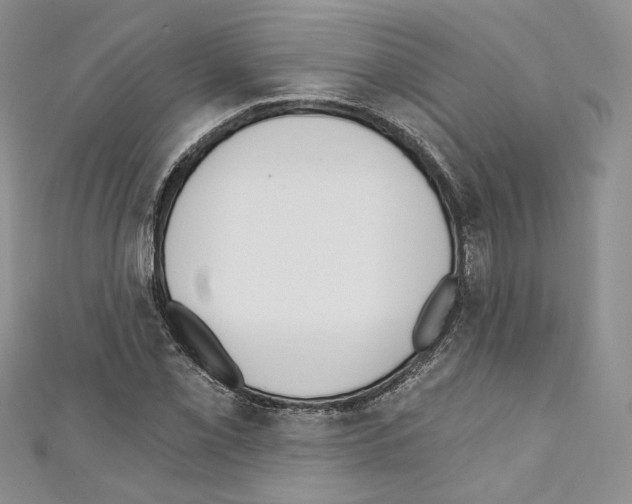 X0000110741069200907271057