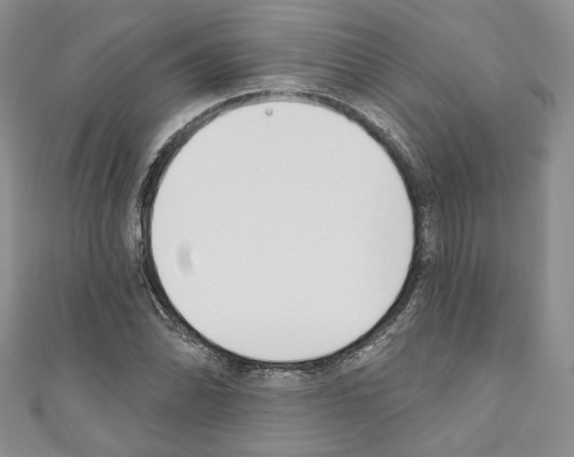 X0000110741070200907271057