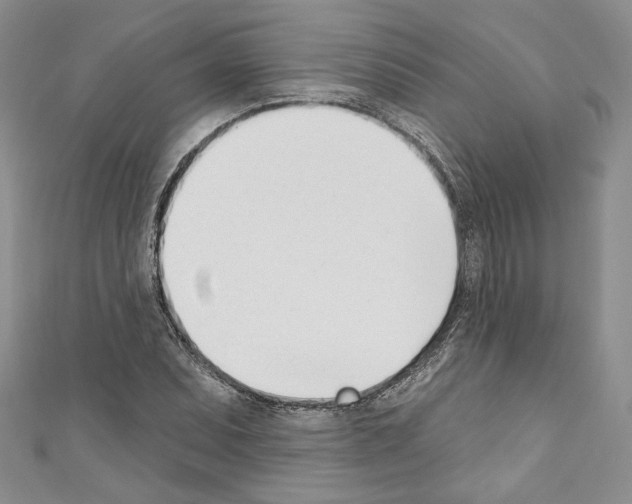 X0000110741071200907271057