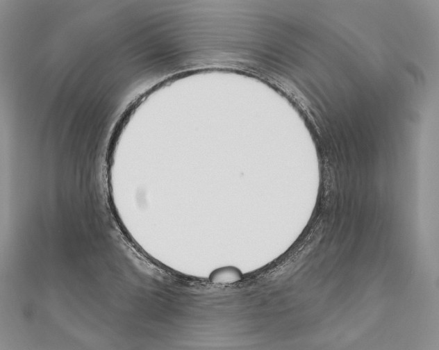 X0000110741072200907271057