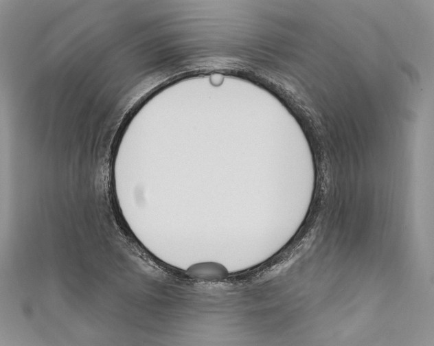 X0000110741073200907271057