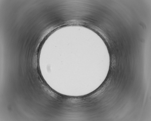 X0000110741075200907271057