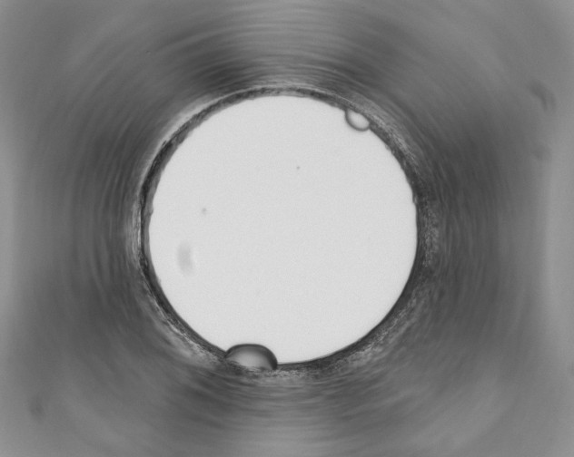 X0000110741076200907271057