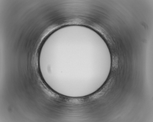 X0000110741078200907271057