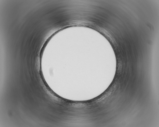X0000110741079200907271057