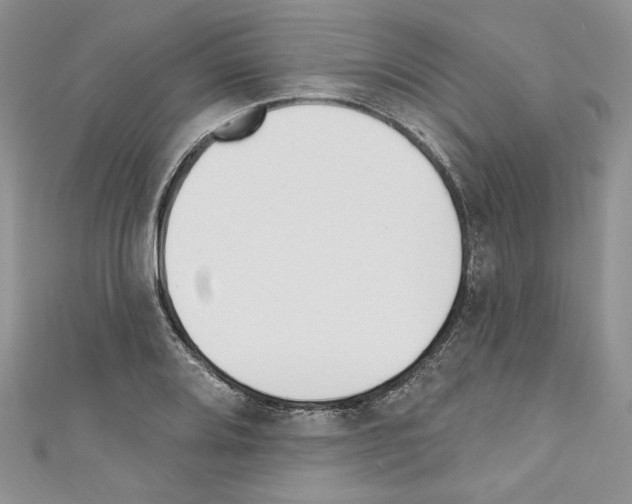 X0000110741080200907271056