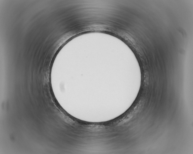 X0000110741081200907271056