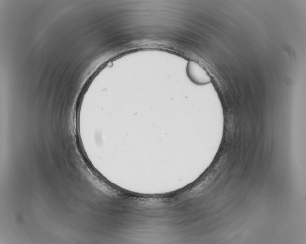 X0000110741082200907271056