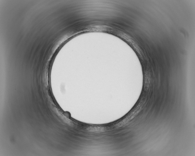 X0000110741083200907271056