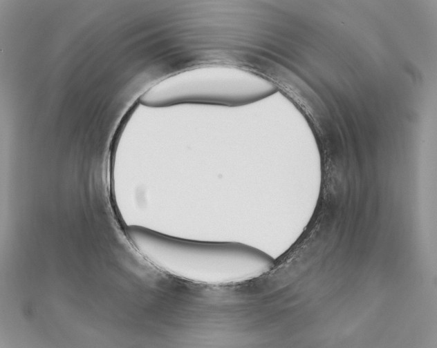 X0000110741084200907271056