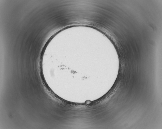 X0000110741085200907271056