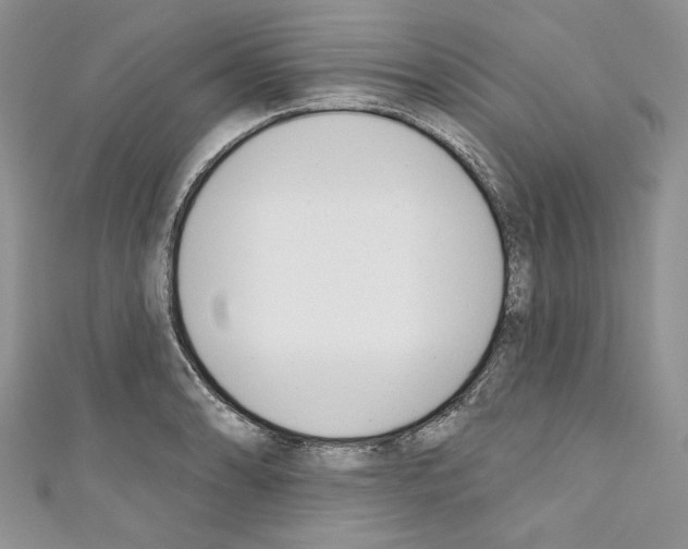 X0000110741086200907271056