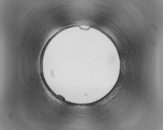 X0000110741087200907271056