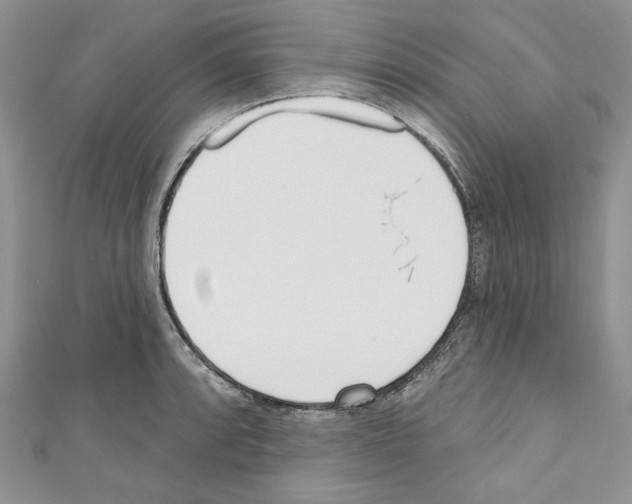 X0000110741088200907271056