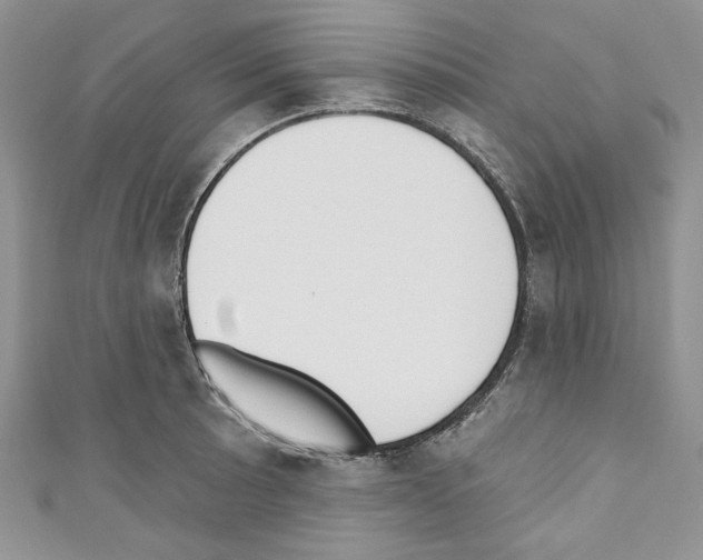 X0000110741089200907271056