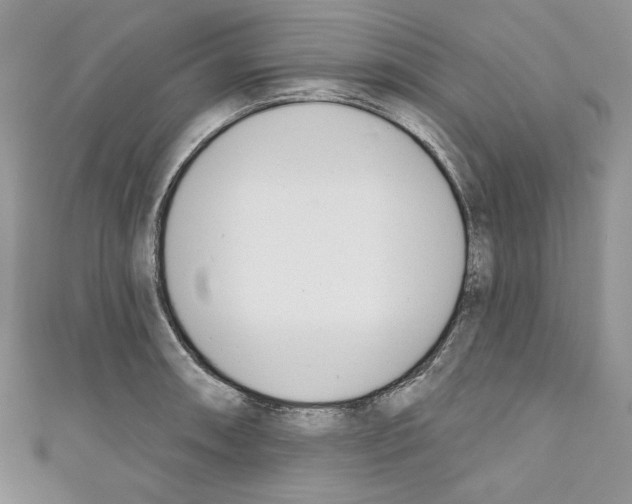 X0000110741090200907271056