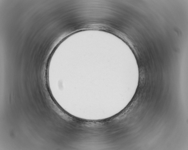 X0000110741091200907271056
