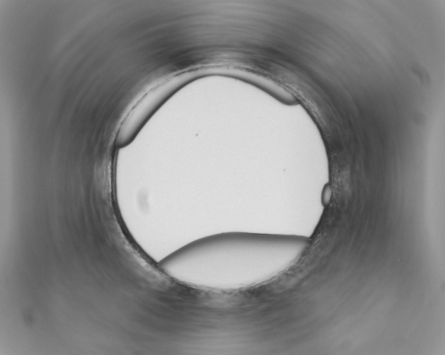 X0000110741092200907271056