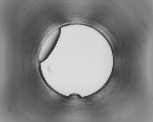 X0000110741093200907271056