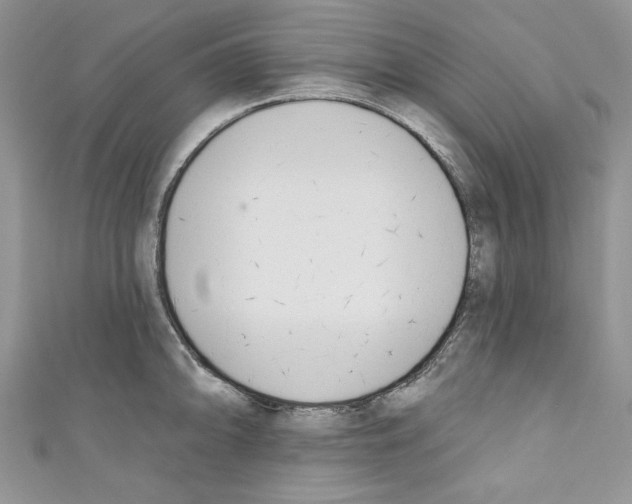 X0000110741094200907271056