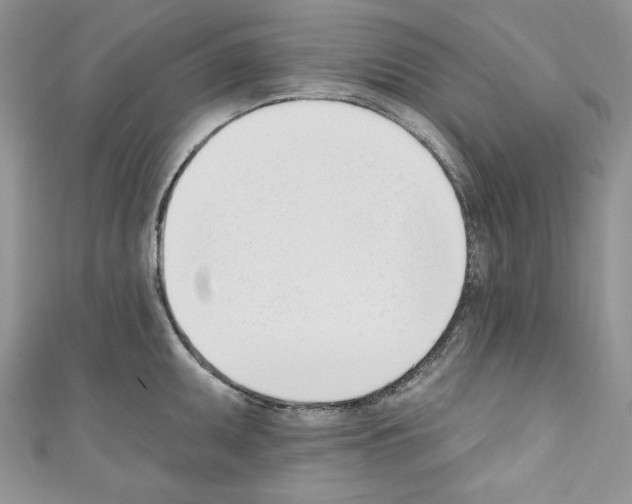X0000110741095200907271056