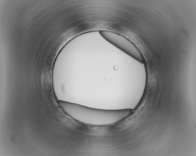 X0000110741097200907271056